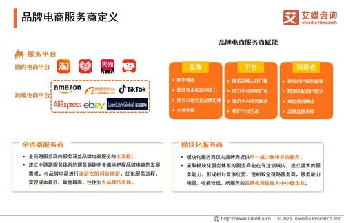 2023年中國(guó)品牌電商服務(wù)商行業(yè)研究報(bào)告——社會(huì)經(jīng)濟(jì)咨詢服務(wù)解析